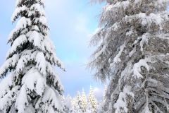 DSCN7094