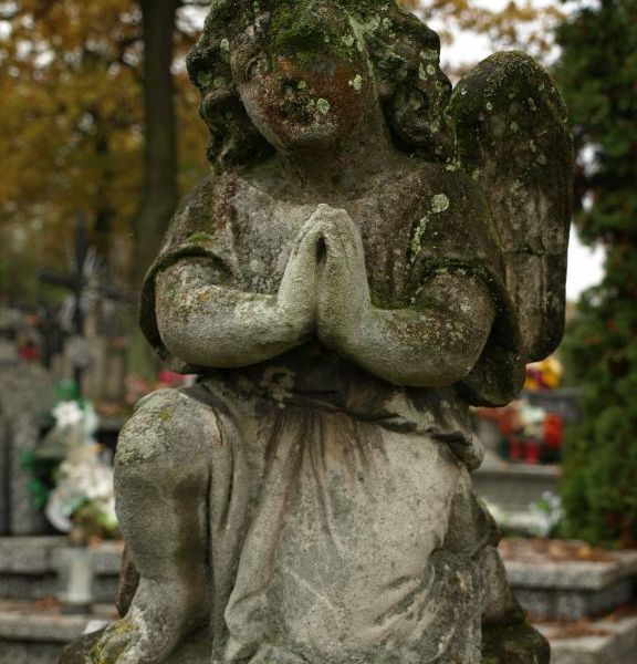 Martwa natura, pomniki